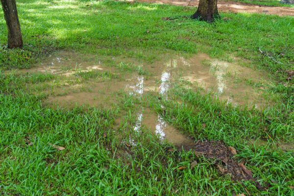 Storm Water Drainage Service in Greenfield