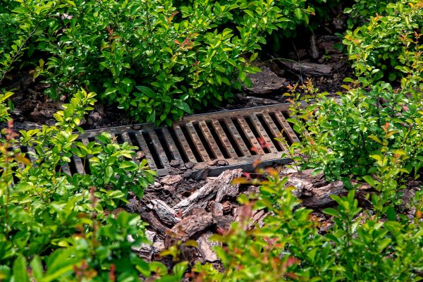 Underground Drainage Service in Greenfield