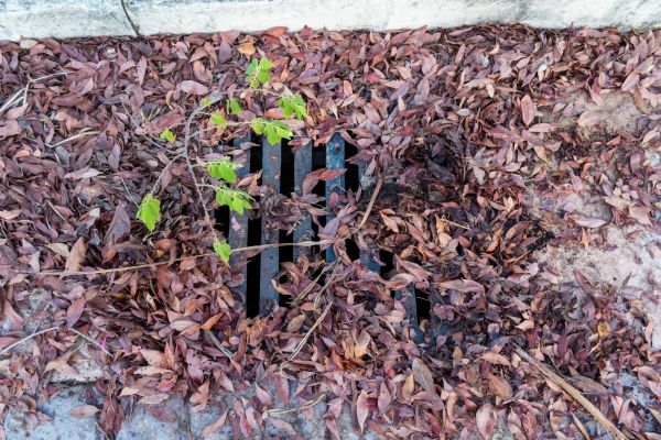Yard Drain Unclogging in Greenfield