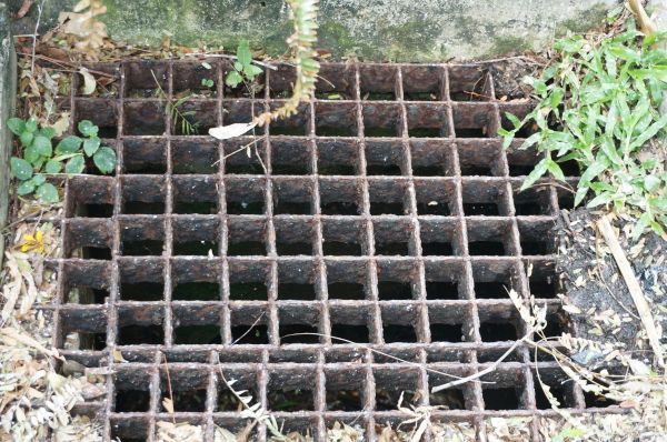 Yard Drain Cleaning in Greenfield