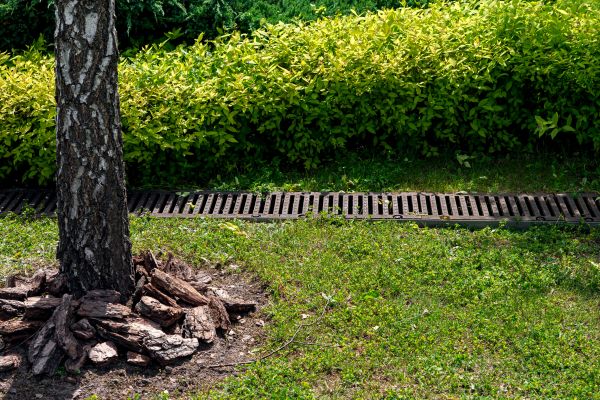 Wet Yard Drainage in Greenfield