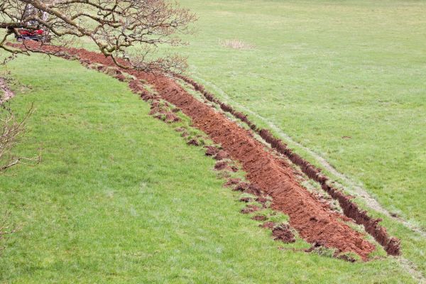 Cost of Swale Installation in Greenfield