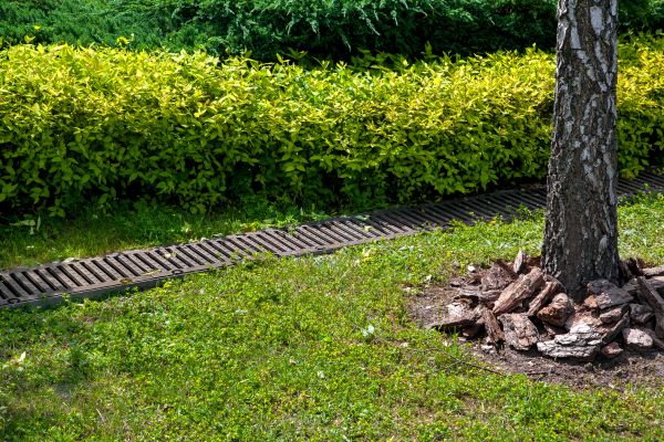 Residential Landscape Drainage in Greenfield