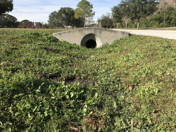 Cost of Swale Drainage Service in Greenfield