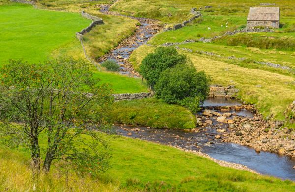 Swale Repair in Greenfield